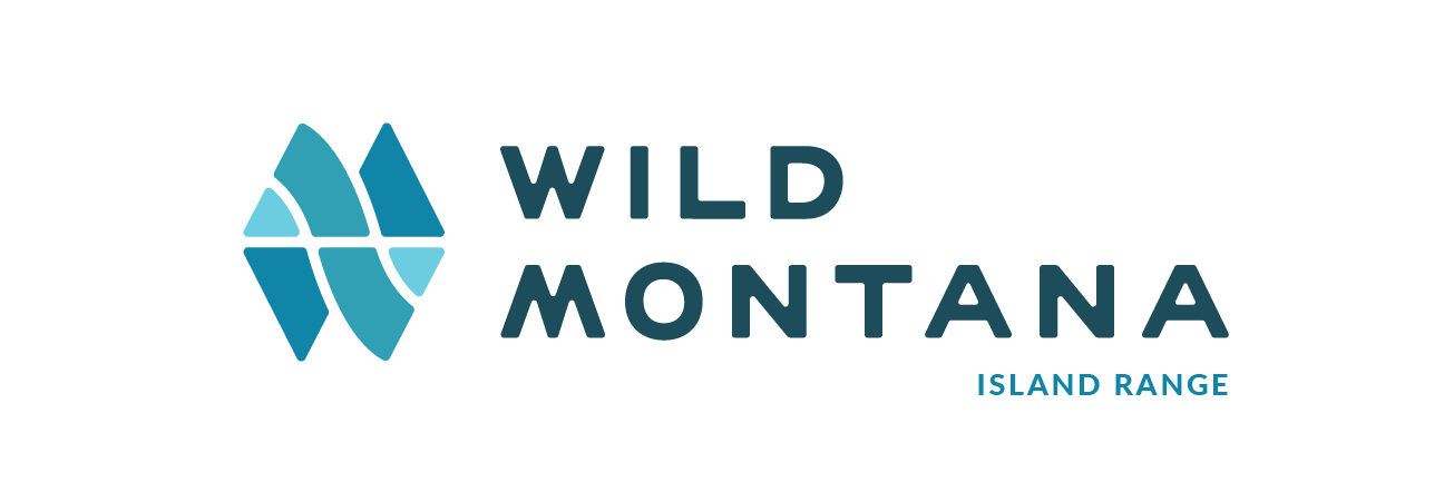 wild montana